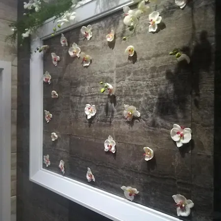 Apart Super Harmony Palace 公寓 阳光海滩